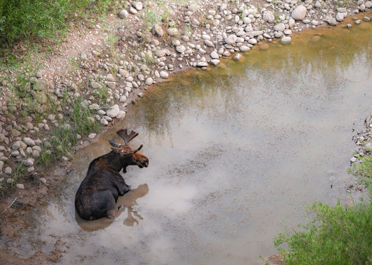 Soothing Soak